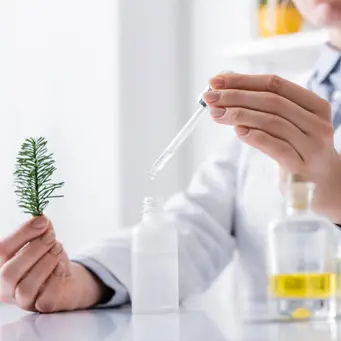 مكونات مستحضرات التجميل