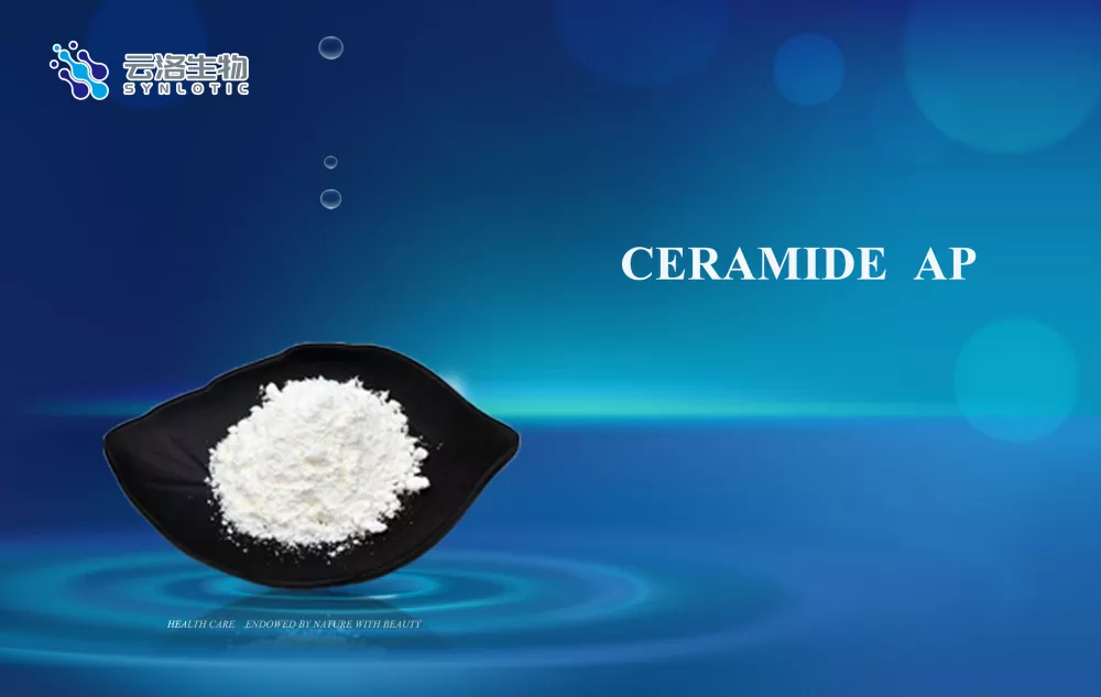 كيف يدعم Ceramide AP تطوير تركيبات مستحضرات التجميل المتقدمة؟